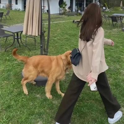 千年狐